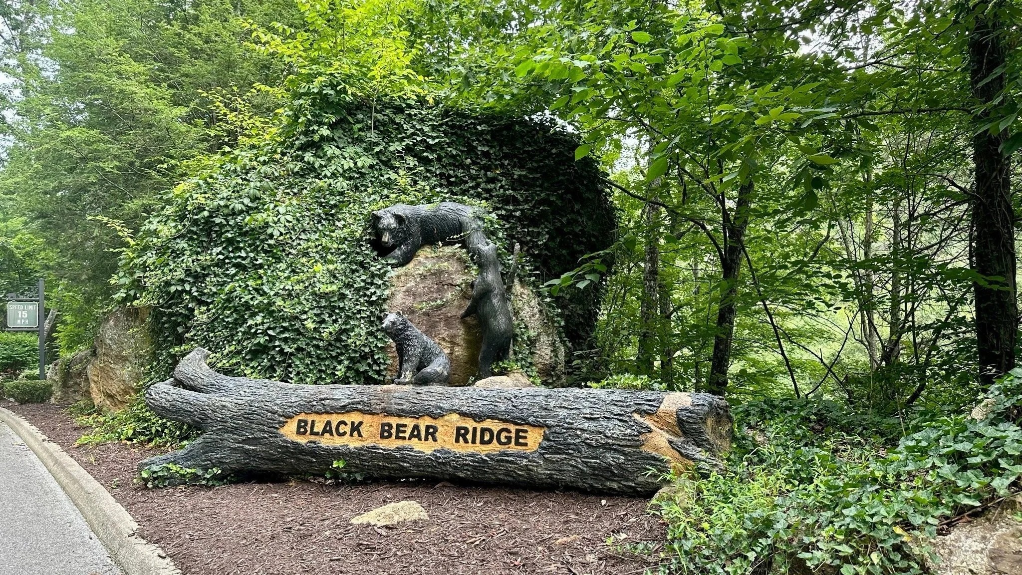 Resort Black Bear Ridge Resort